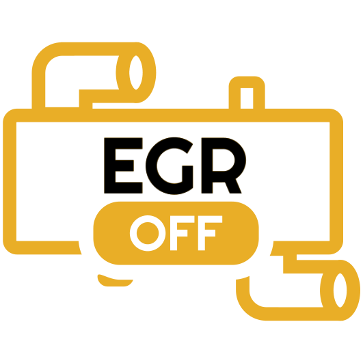 ביטול שסתום EGR