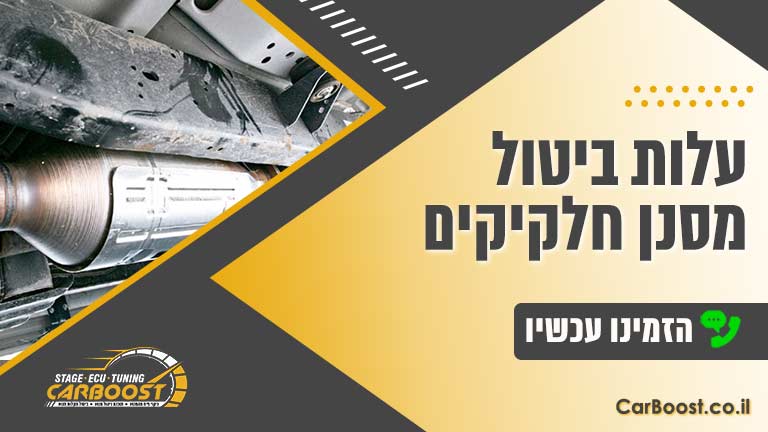 עלות ביטול מסנן חלקיקים