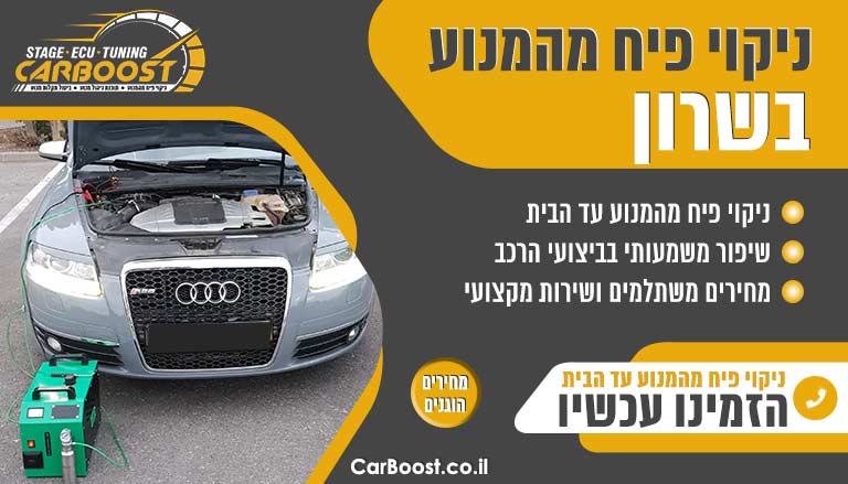 ניקוי פיח מהמנוע שרון